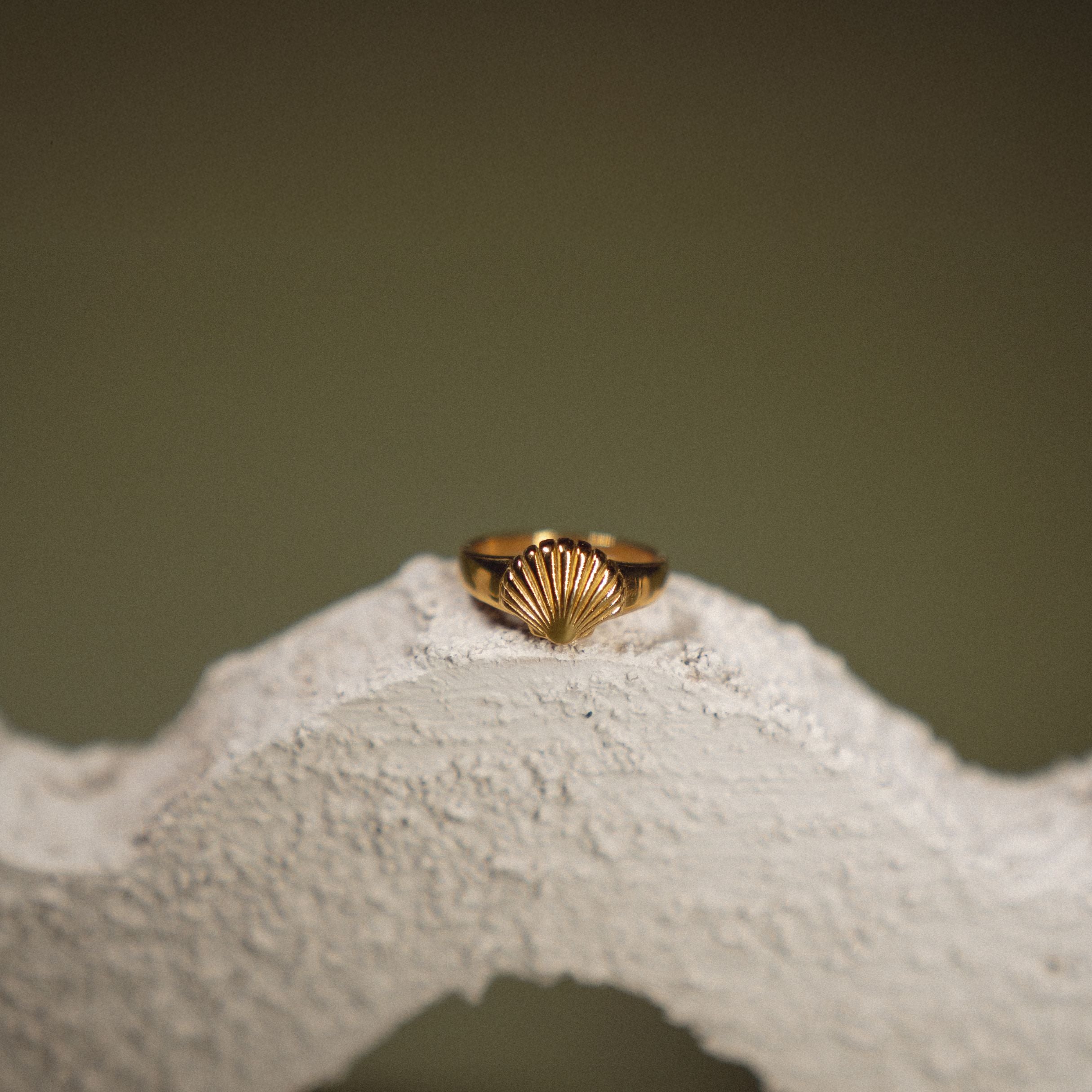 Seashell Ring - Image 12